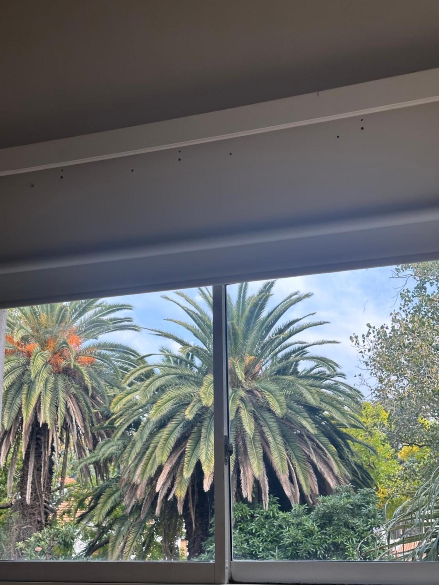 Apart Bosch House Vicente López エクステリア 写真